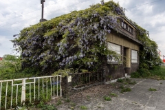 residential-antwerpen-blauweregen-03-6