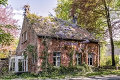 residential-huis-blauweregen-06-6