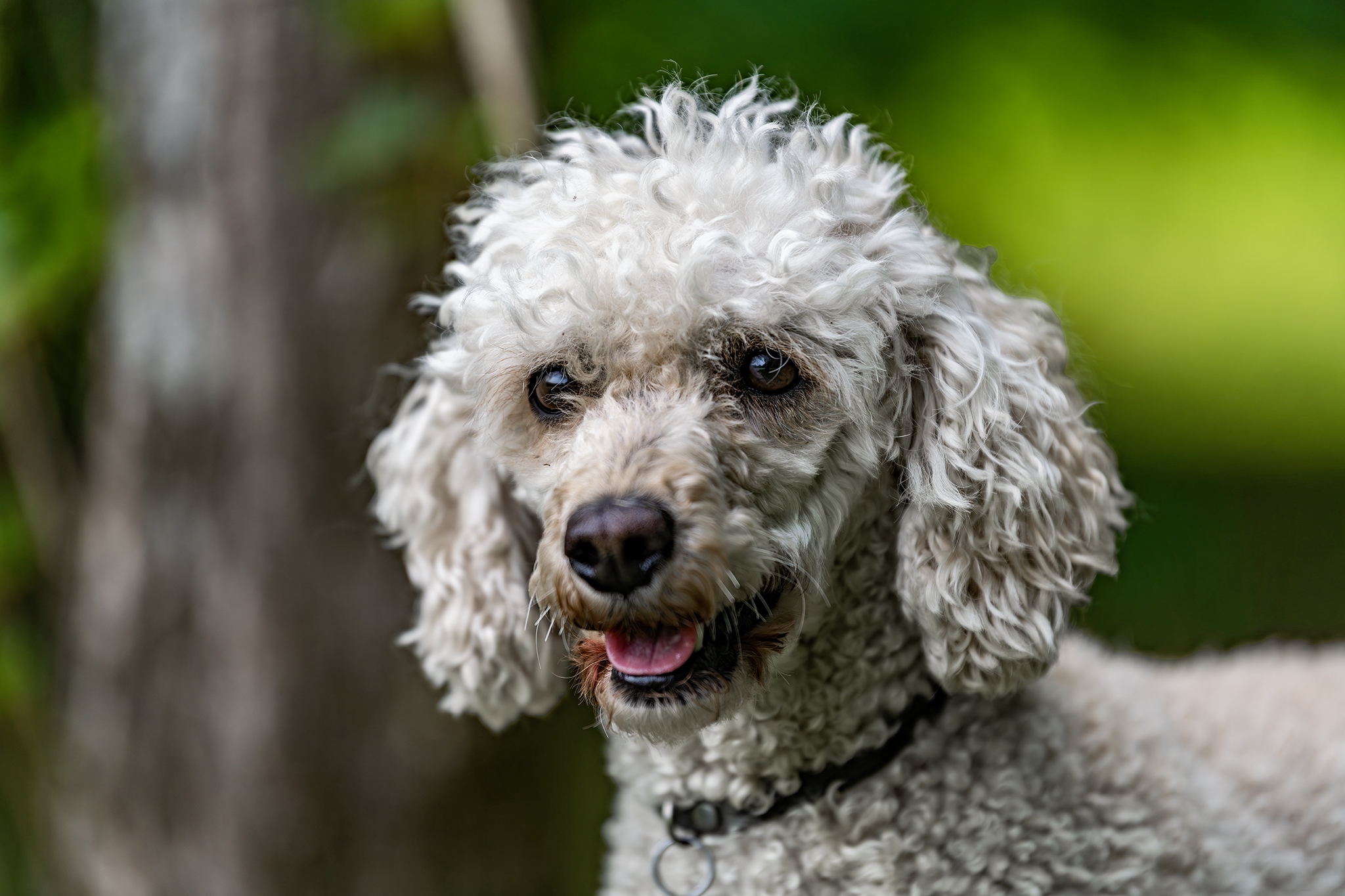 Estia-0011 Estia-0011