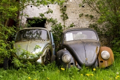 transport-farm-biofeul-165-HDR091919