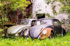 transport-farm-biofeul-200-HDR-1-6