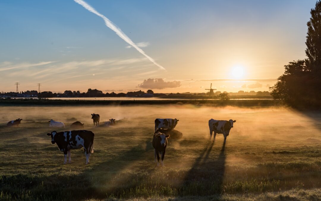 Landscape: Earth’s Masterpieces