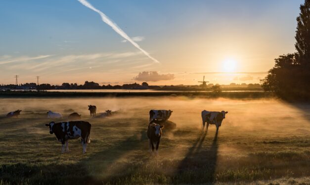 Landscape: Earth’s Masterpieces