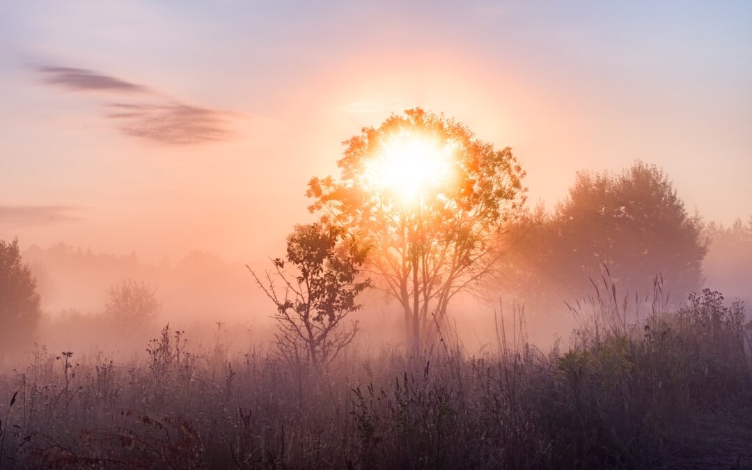 Travel: Journeys Through the Lens