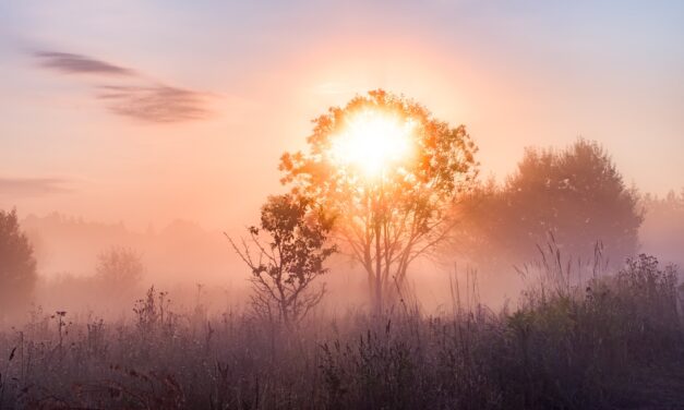 Travel: Journeys Through the Lens