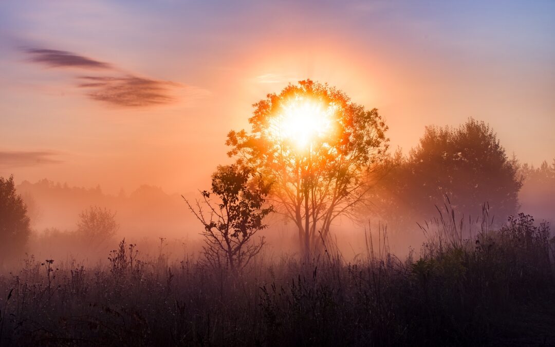 Travel Poland