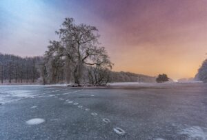 Nature : Tervuren Park