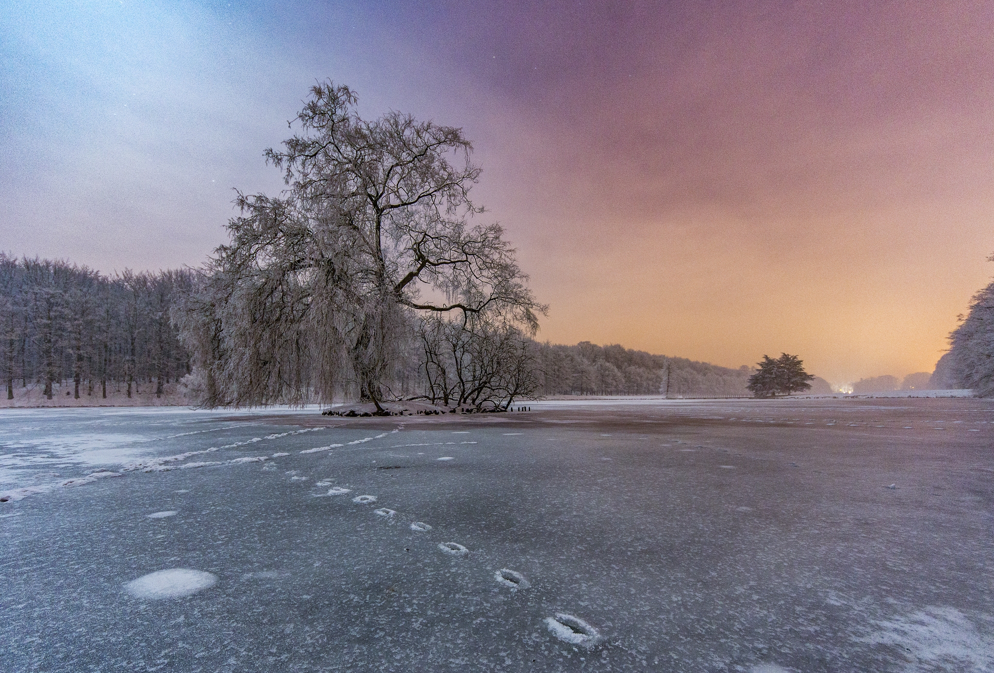 Nature : Tervuren Park
