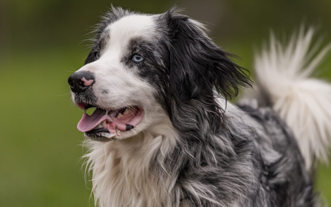 Maverick and Friends 2023