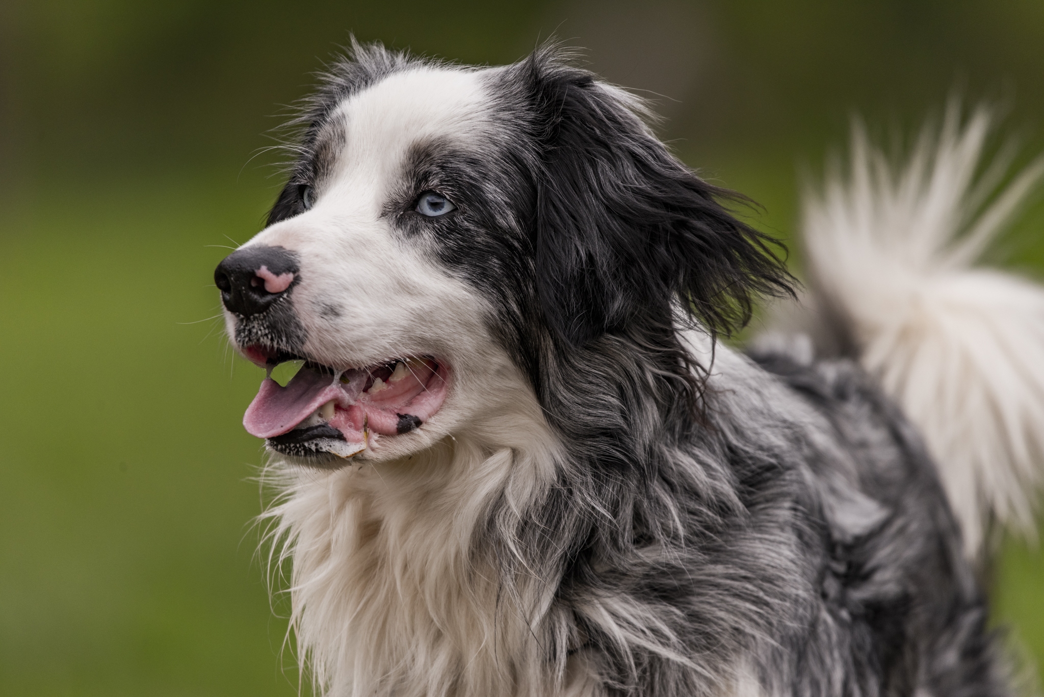 Maverick and Friends 2023